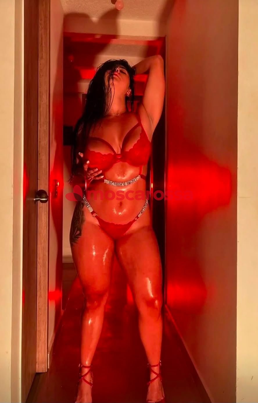 Sofi 6
