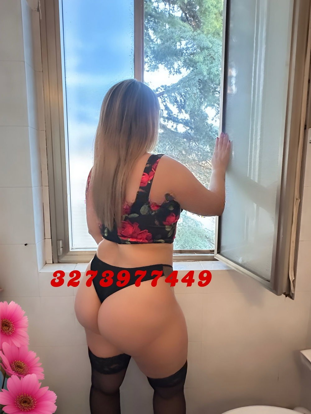 Emperatriz 6